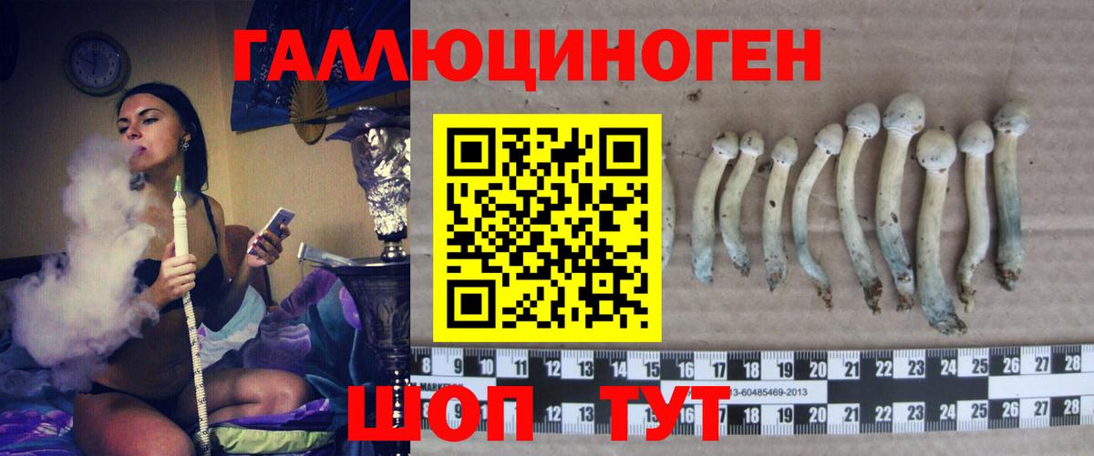 Галлюциногенные грибы мухоморы Южно-Сахалинск